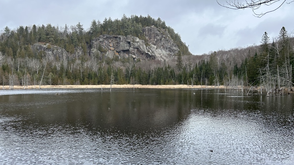 Photo №1 of Mont King