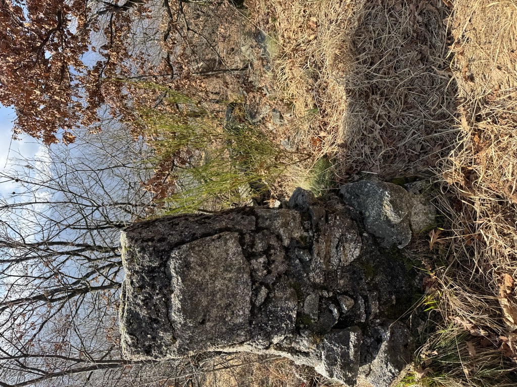 Photo №2 of Mont'Orfano