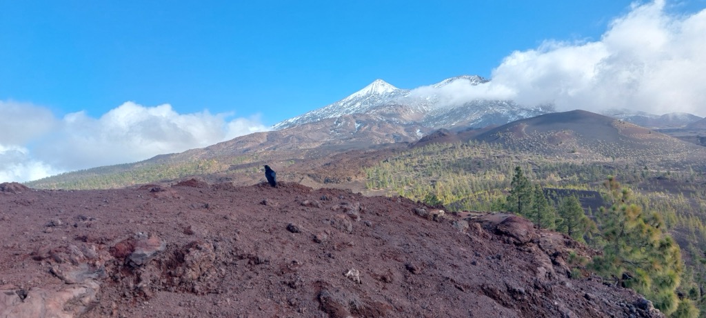 Photo №1 of Montaña de Sámara