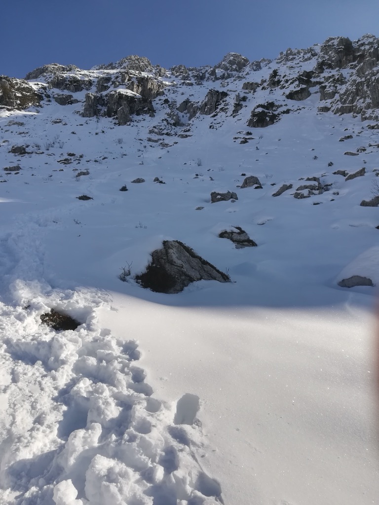 Photo №1 of Monte Alben