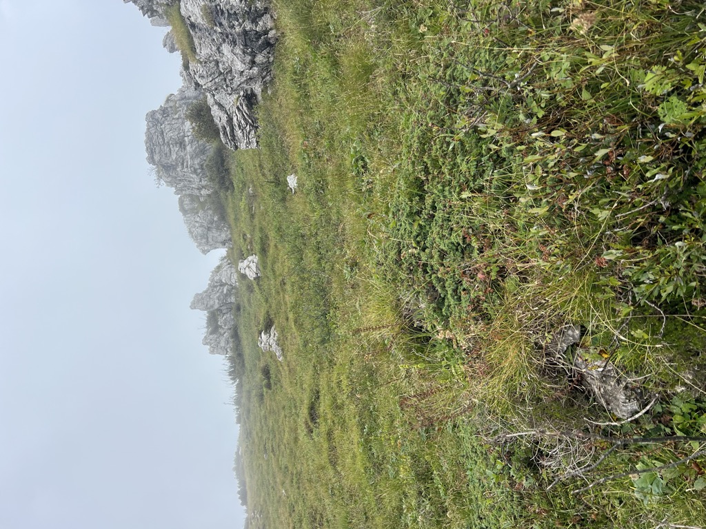 Photo №2 of Monte Cancervo