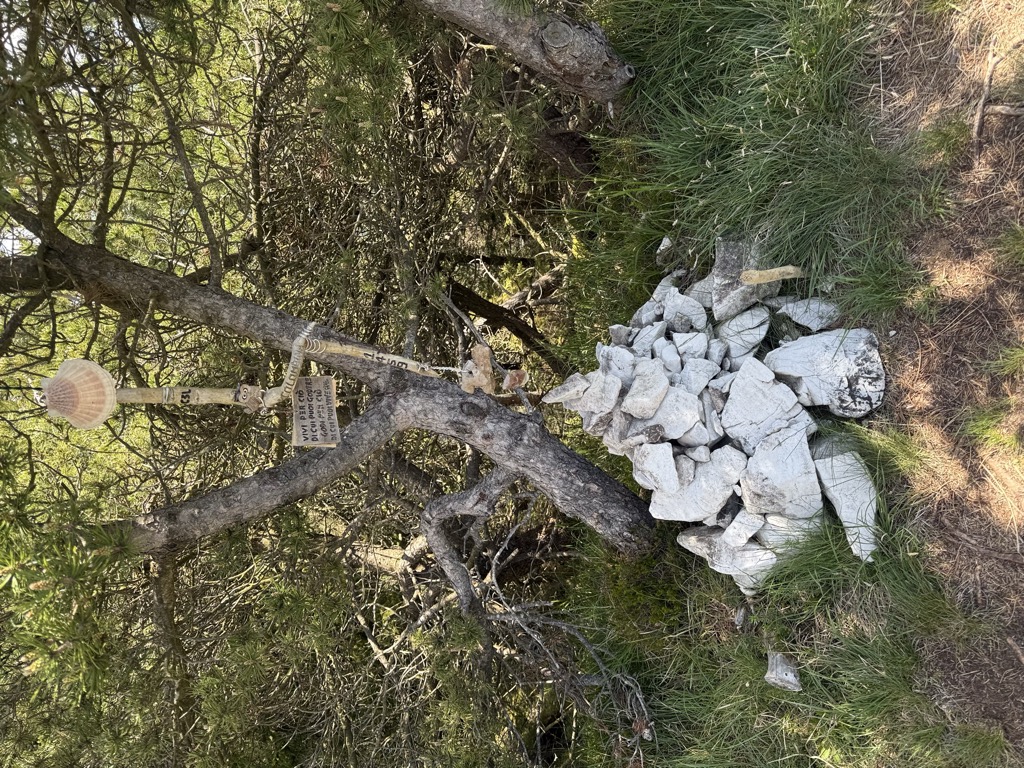 Photo №1 of Monte Colombina