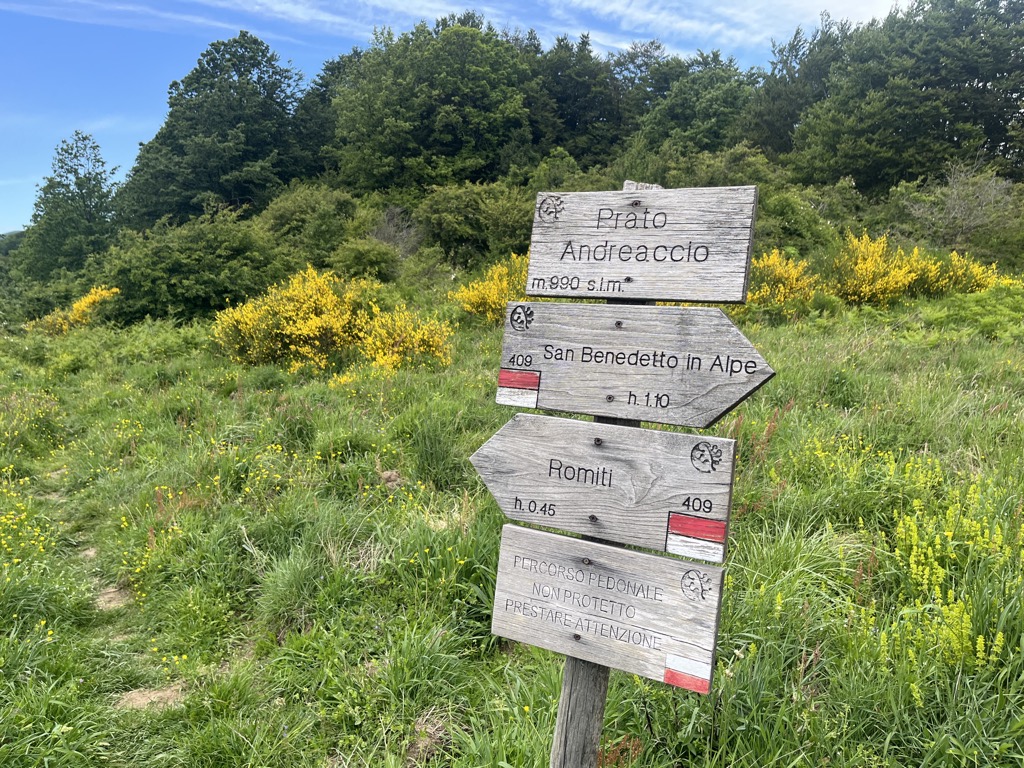 Monte del Prato Andreaccio