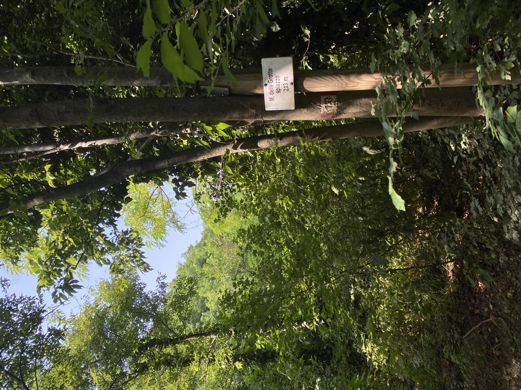 Monte delle Grotte