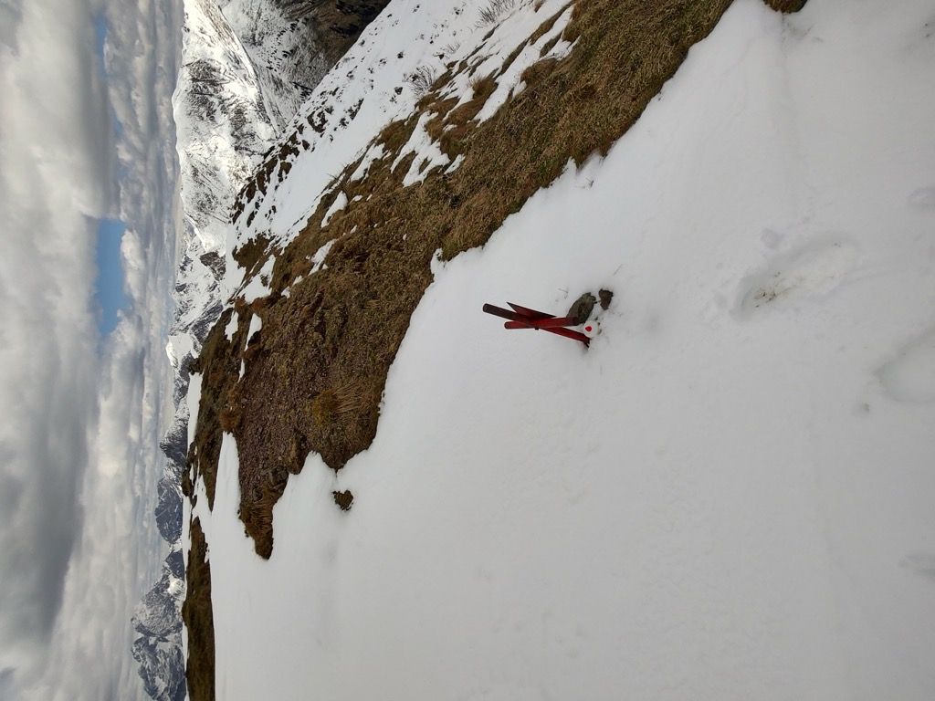 Photo №2 of Monte Dimon