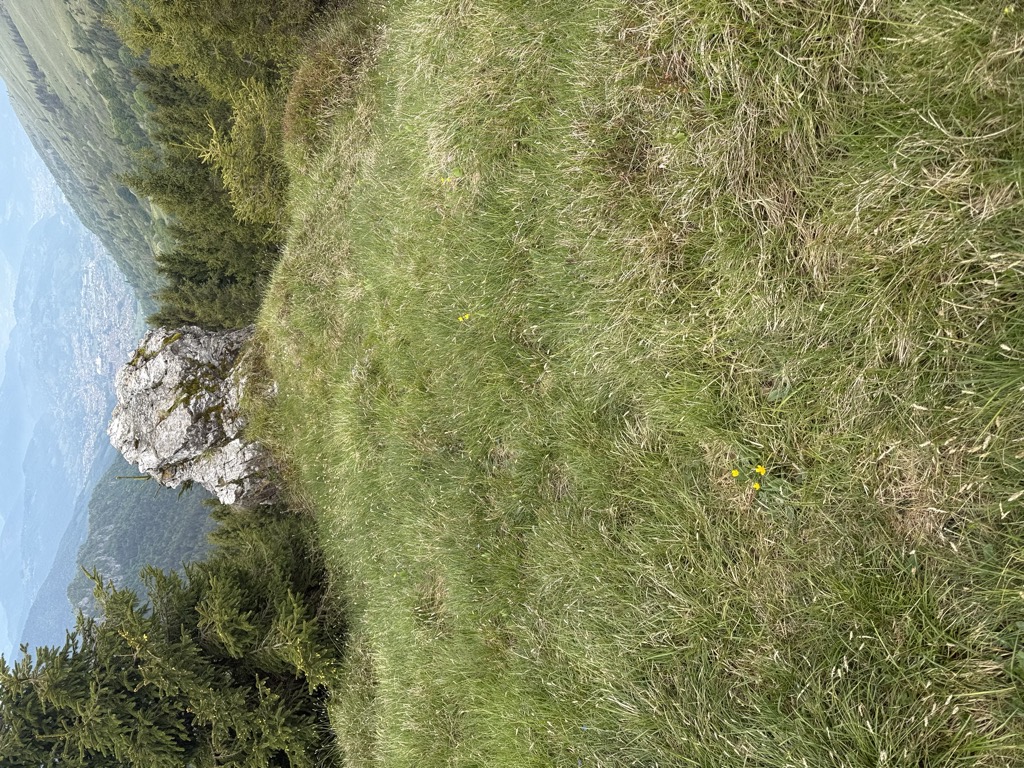 Photo №1 of Monte Fogarolo