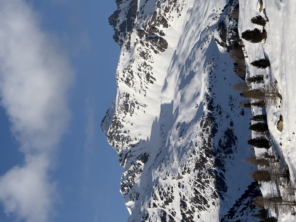 Photo №1 of Monte Forcellina