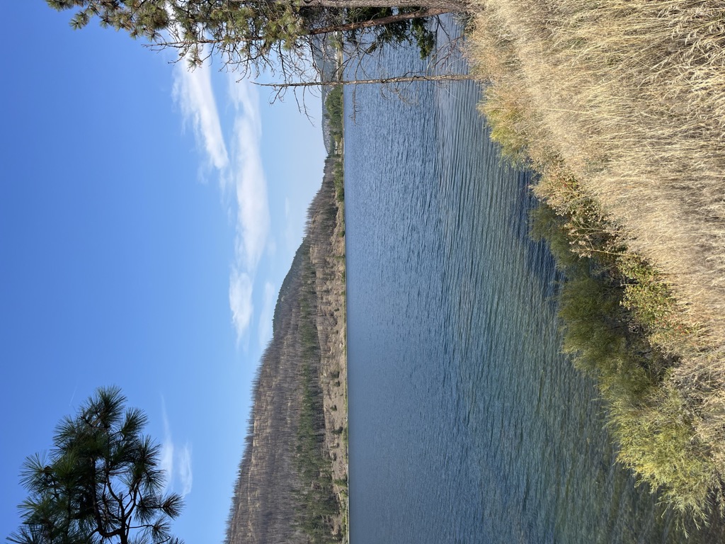 Photo №3 of Monte Lake