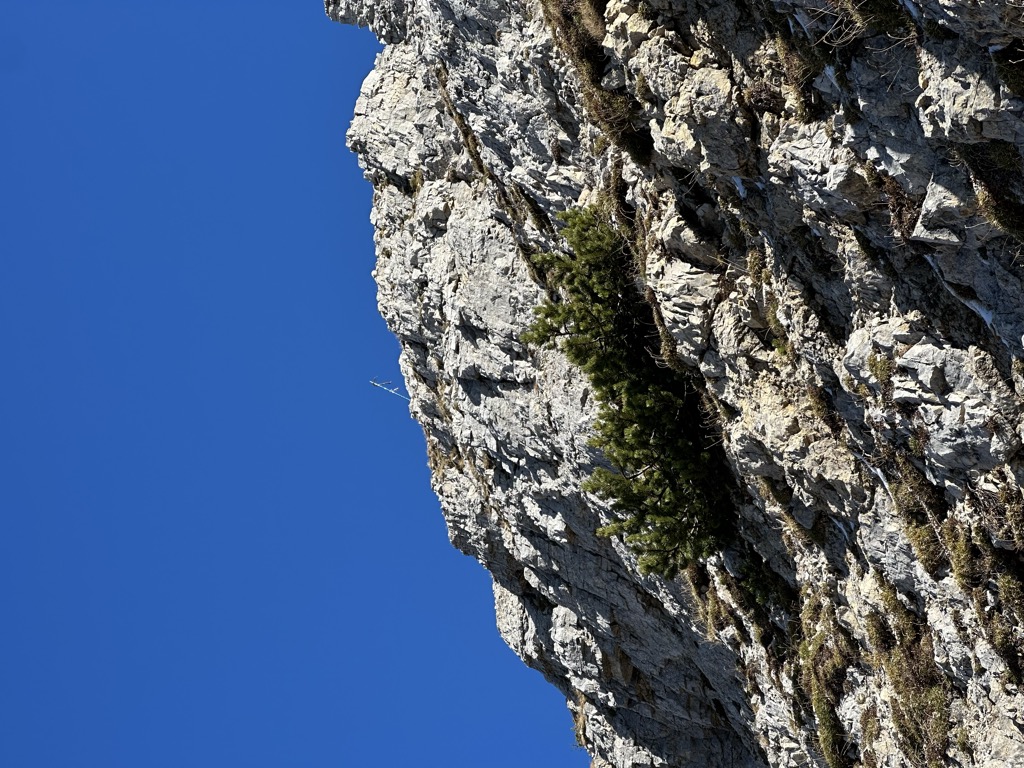 Photo №1 of Monte Obante