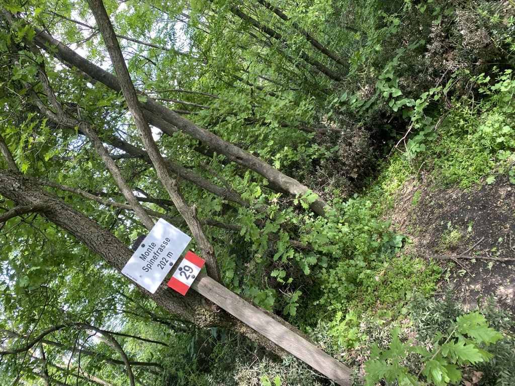 Photo №1 of Monte Spinefrasse