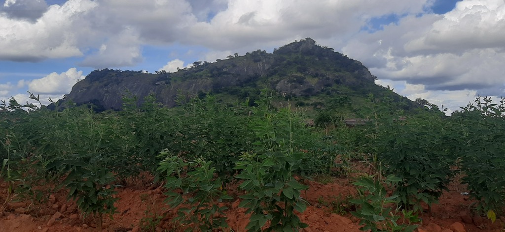 Photo №3 of Monte Ungusse