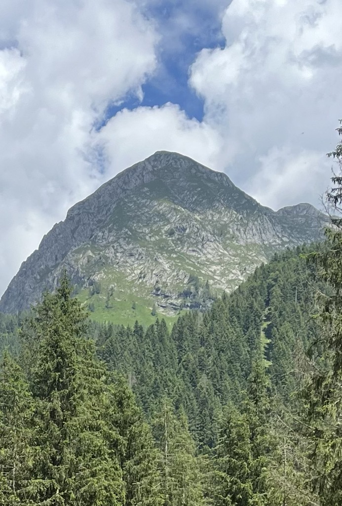 Photo №2 of Monte Vigna Vaga