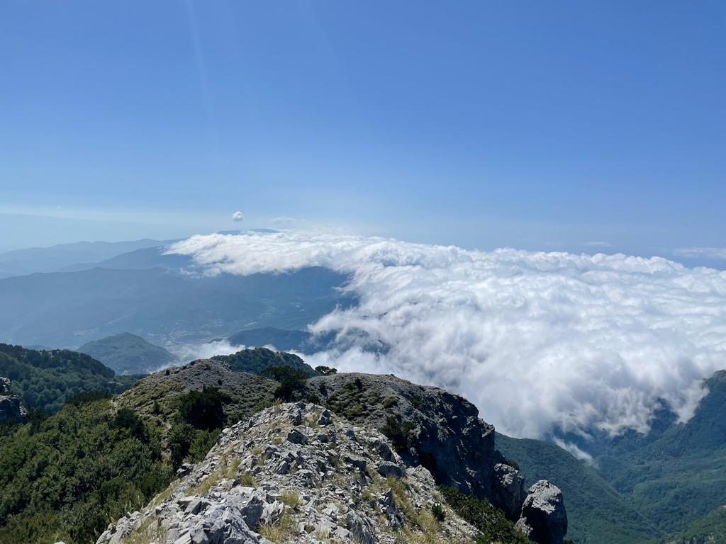 Photo №1 of Montea South peak