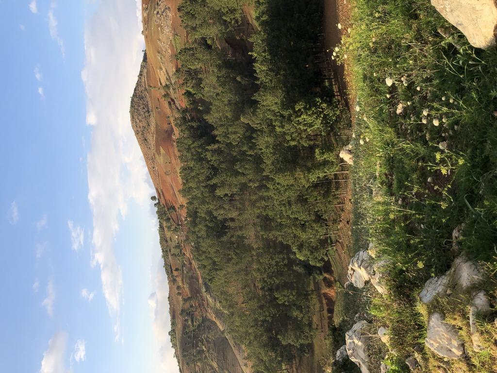 Photo №1 of Morne Zombi