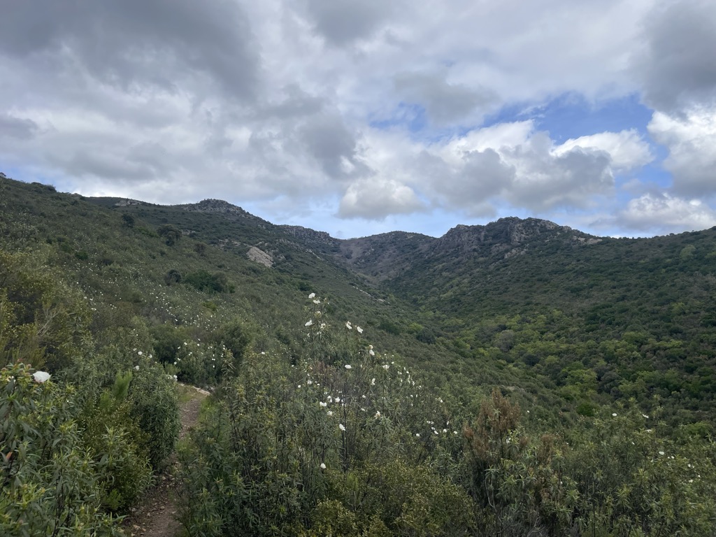 Photo №1 of Morrón de Dornilleros