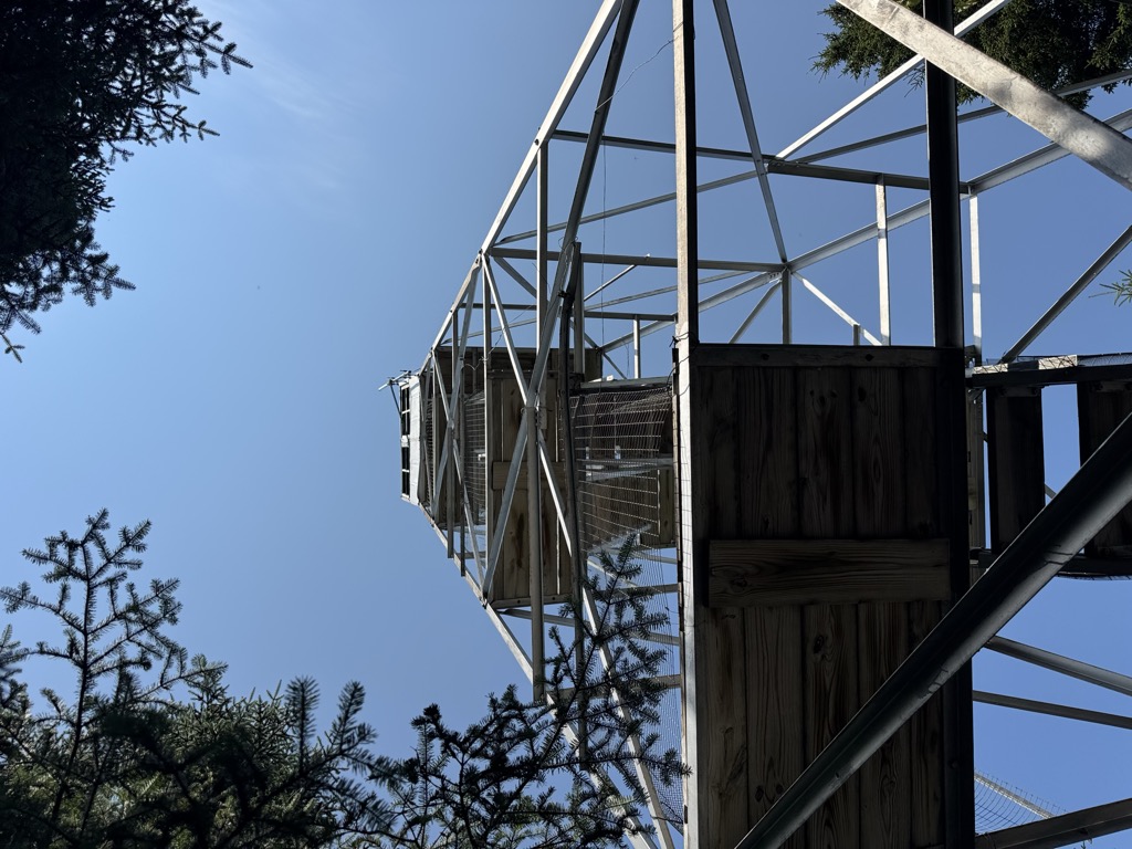 Photo №1 of Mount Adams