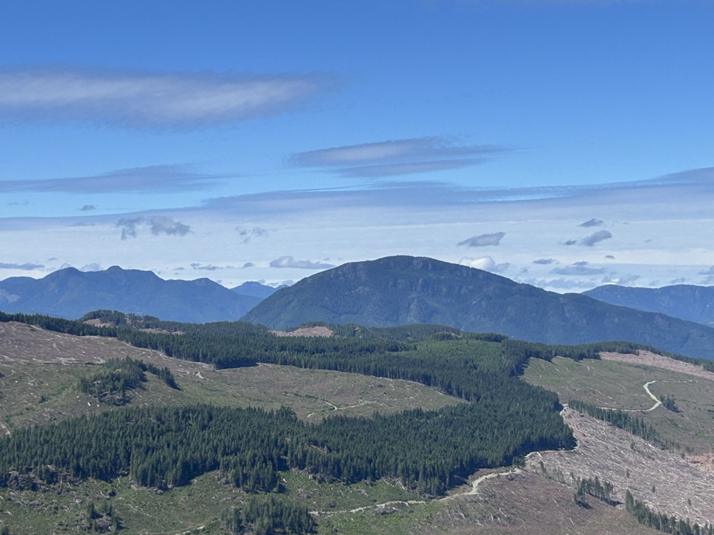 Photo №2 of Mount Benson
