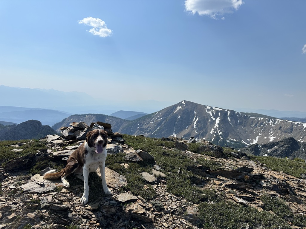 Mount Bradford