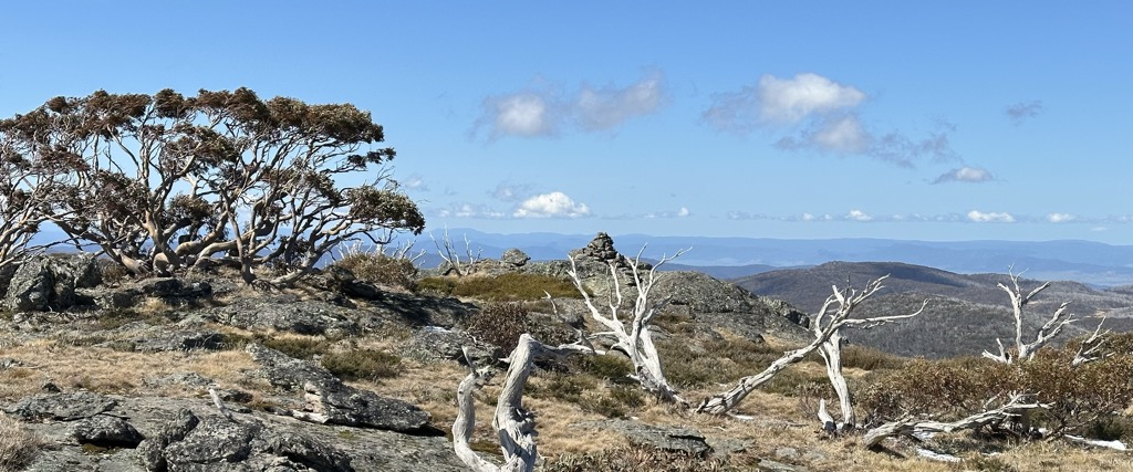 Photo №1 of Mount Cope