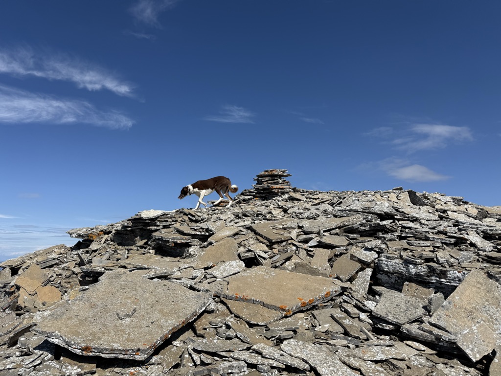 Photo №1 of Mount Dorman