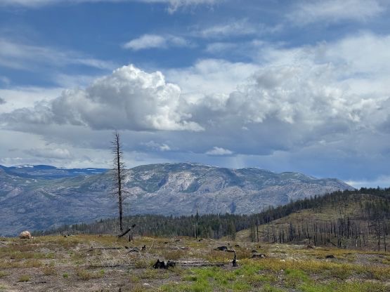 Photo №2 of Mount Drought
