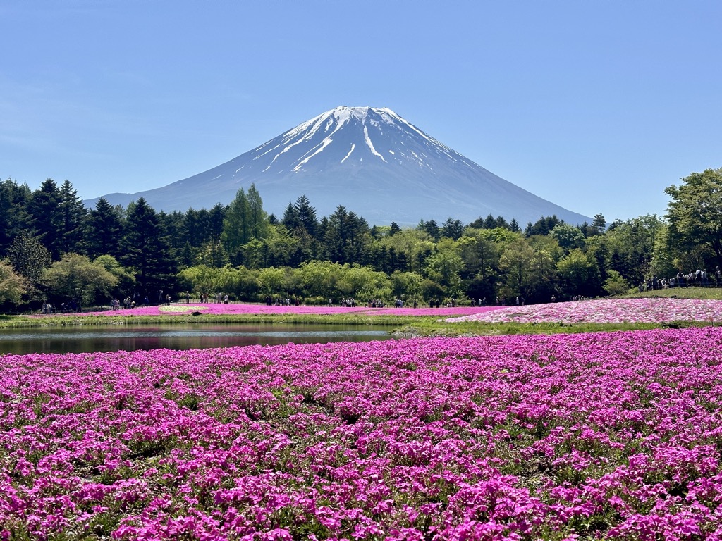 Photo №2 of Mount Fuji