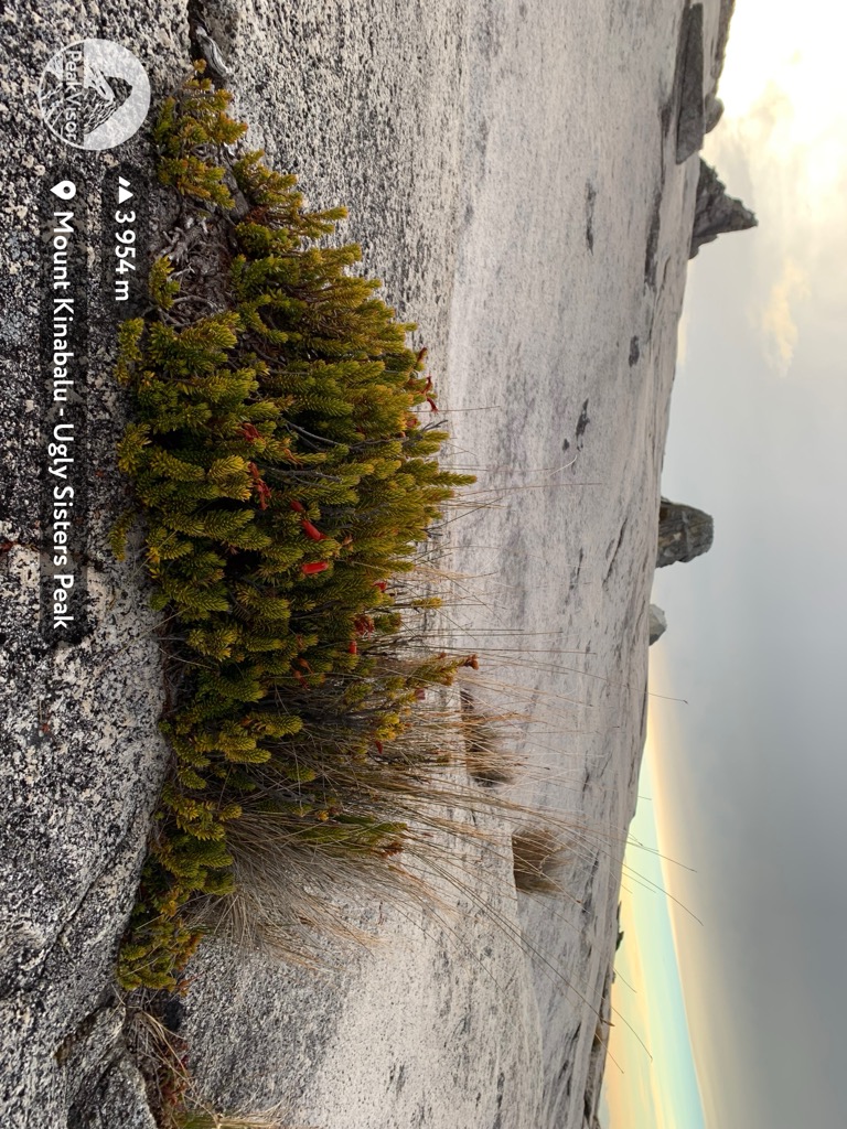 Photo №1 of Mount Kinabalu - Ugly Sisters Peak