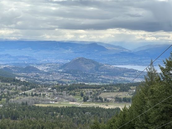Photo №2 of Mount Law