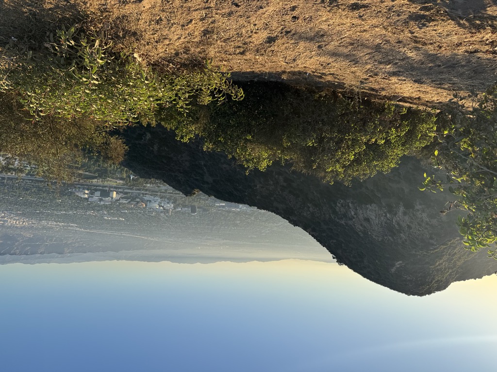 Photo №2 of Mount Lee