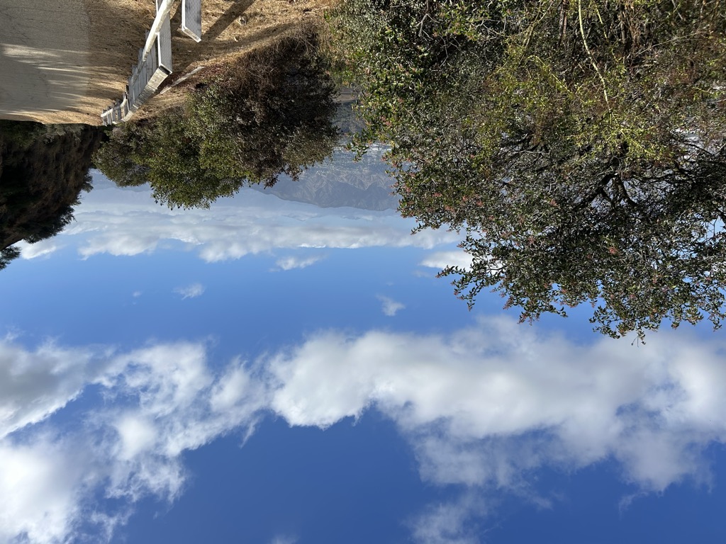 Photo №1 of Mount Lee