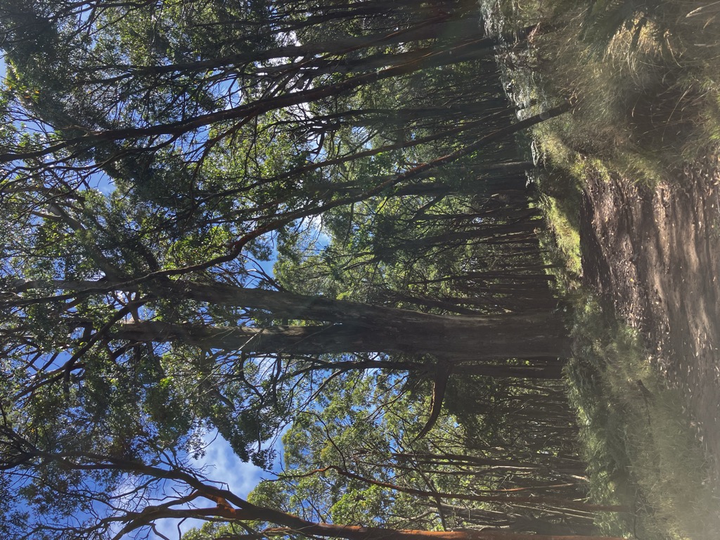 Photo №1 of Mount Macedon