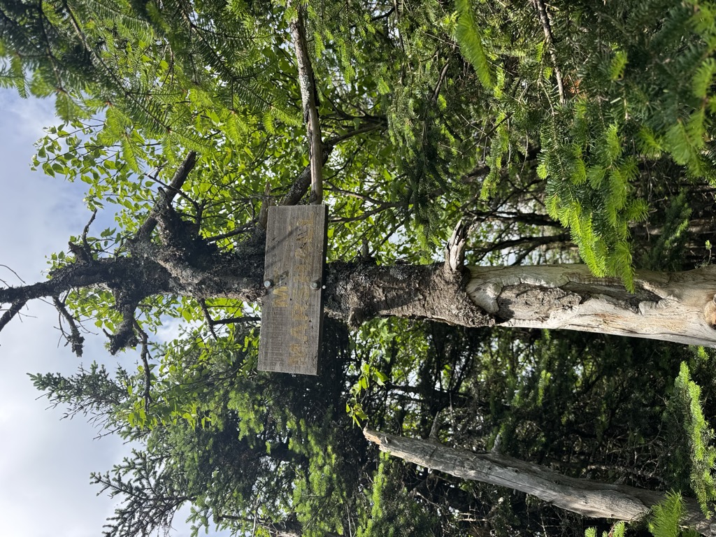 Photo №1 of Mount Marshall