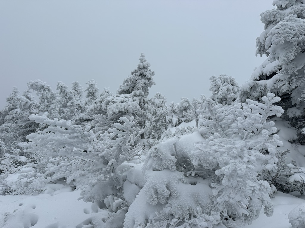 Photo №1 of Mount Moosilauke