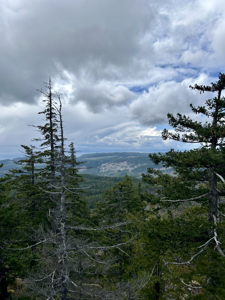 Photo №1 of Mount Muir