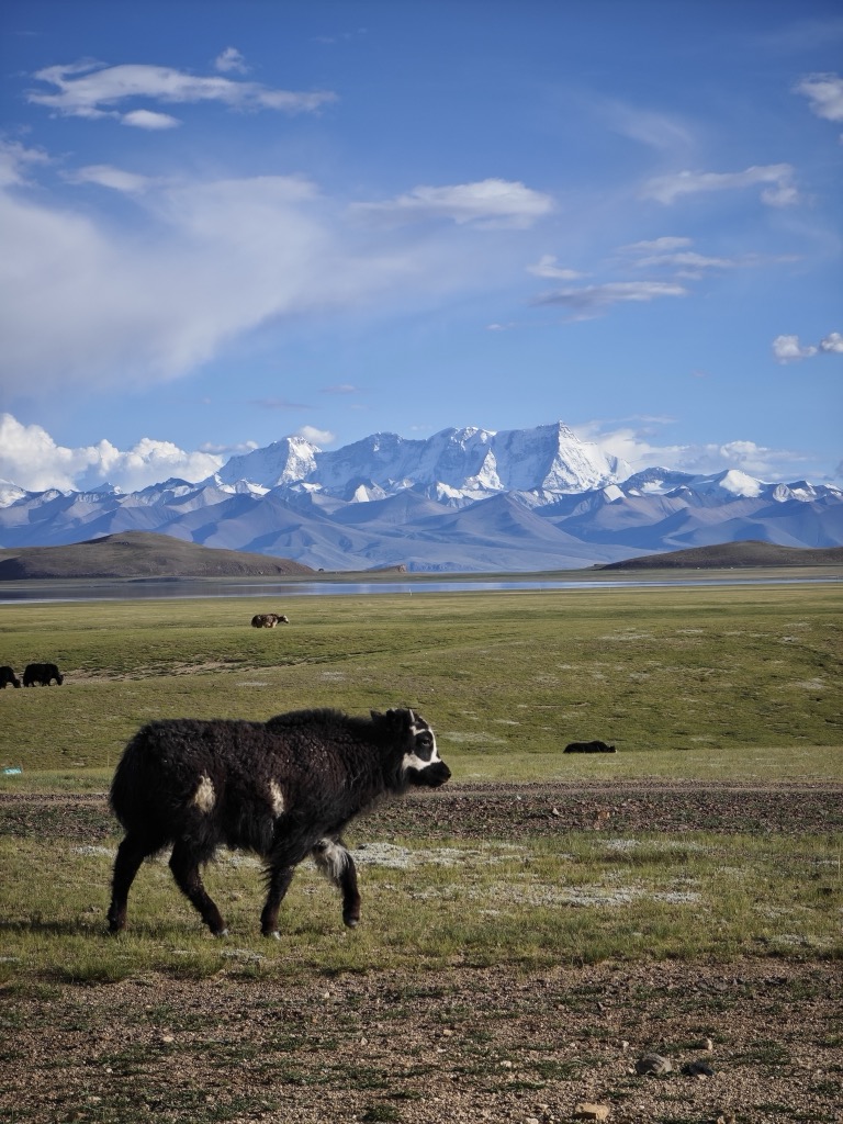 Photo №4 of Mount Nyenchen Tanglha