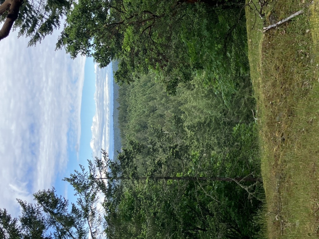 Photo №2 of Mount Pamphlet