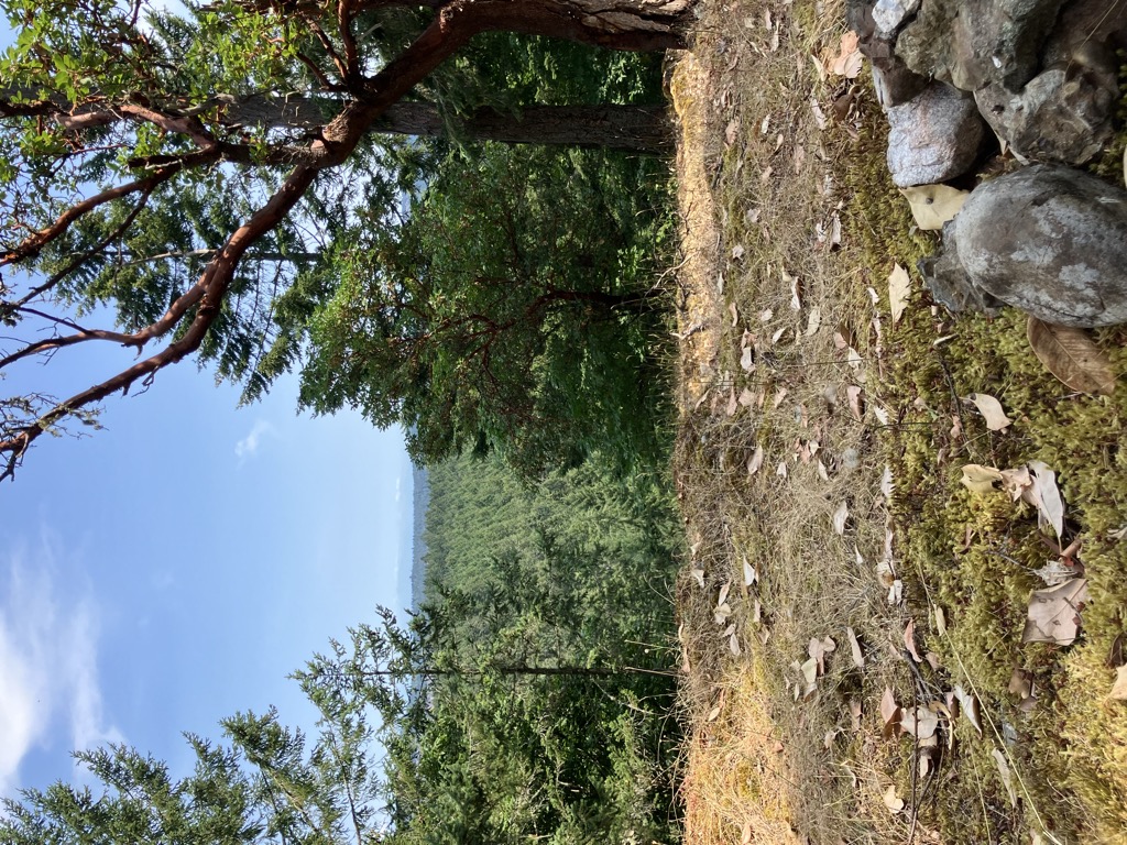 Photo №3 of Mount Pamphlet