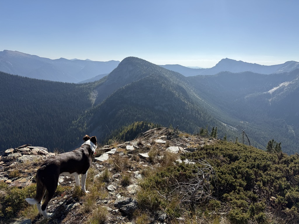 Photo №1 of Mount Pudifin