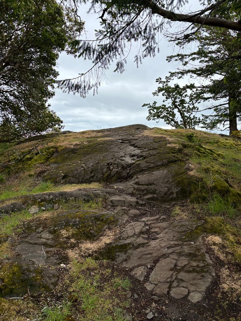 Photo №1 of Mount Stewart