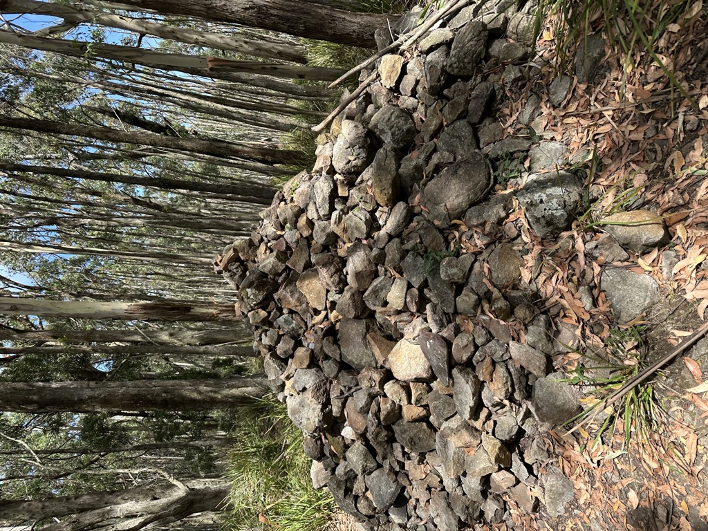 Photo №1 of Mount Towrong