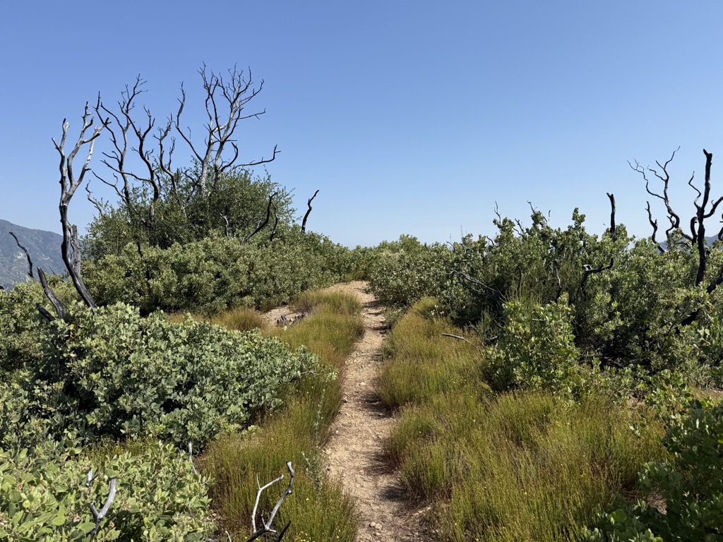 Photo №2 of Mount Zion