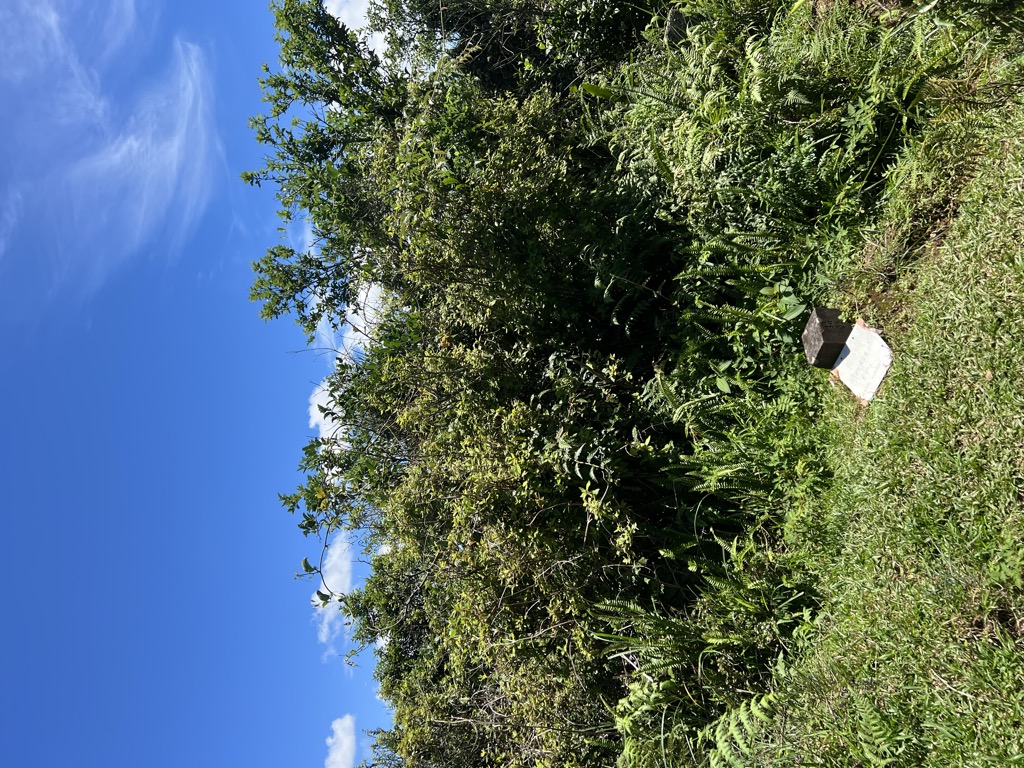 Photo №1 of Mt. Beiding