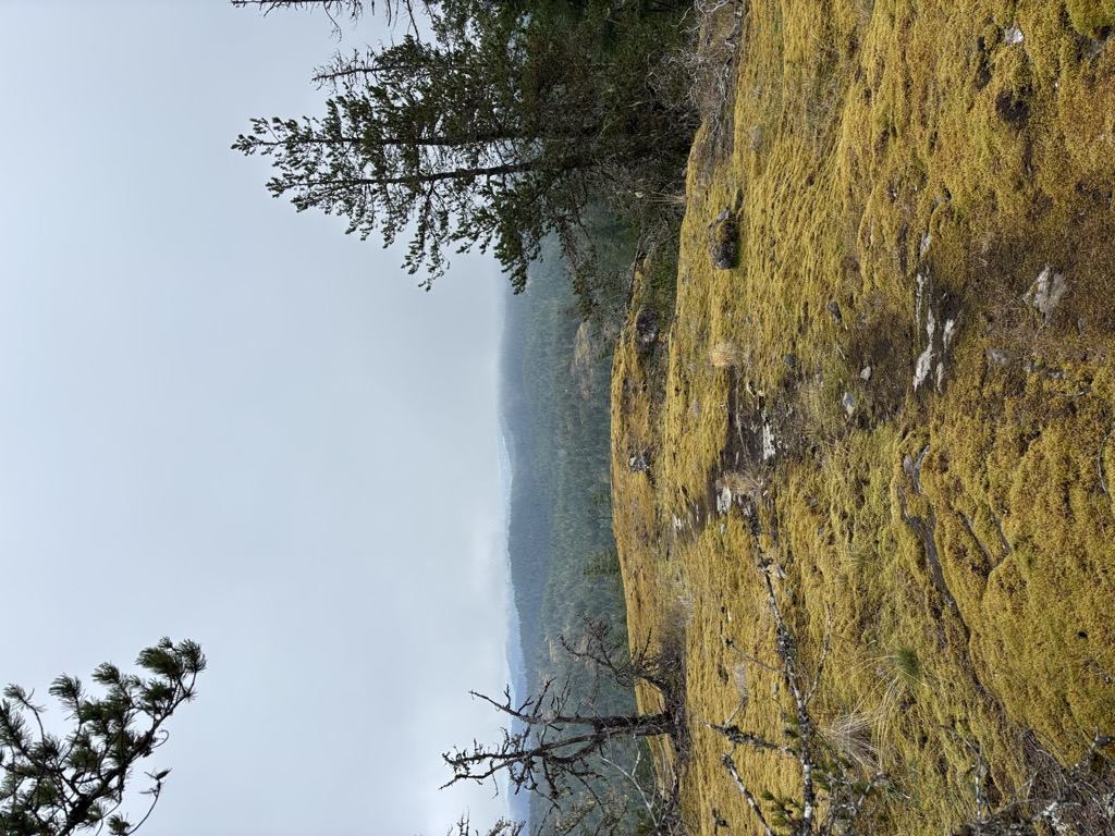 Photo №1 of Mt. Fleetwood