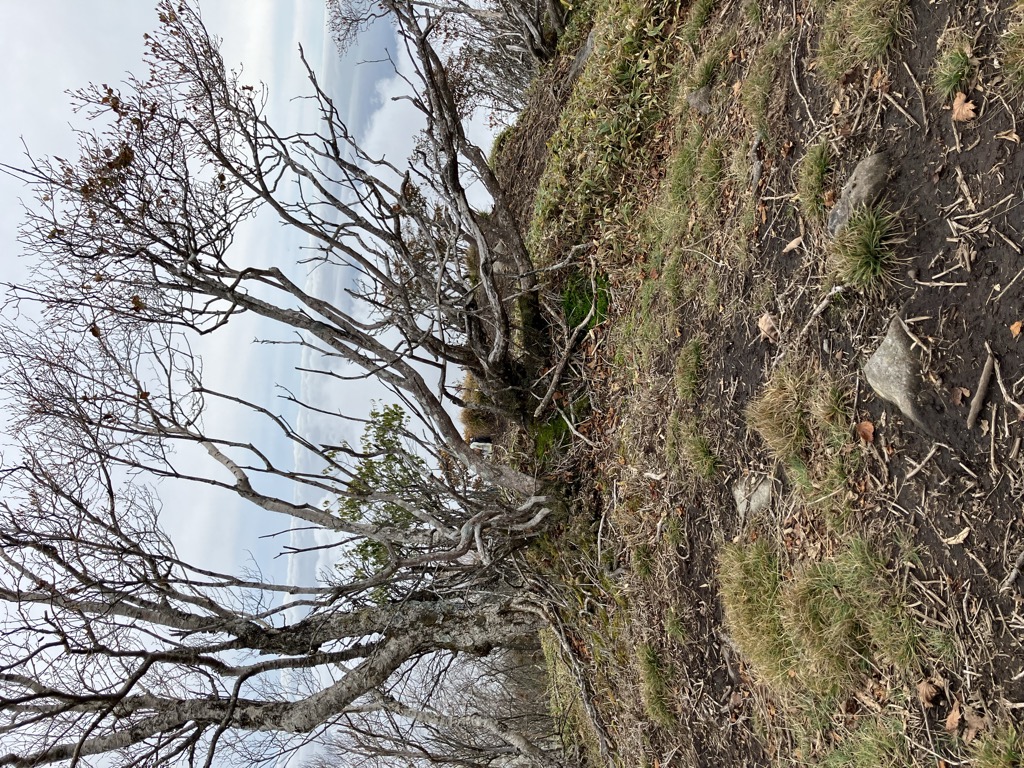 Photo №1 of Mt. Komagatake