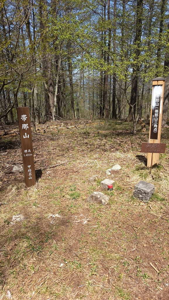 Photo №2 of Mt. Obina