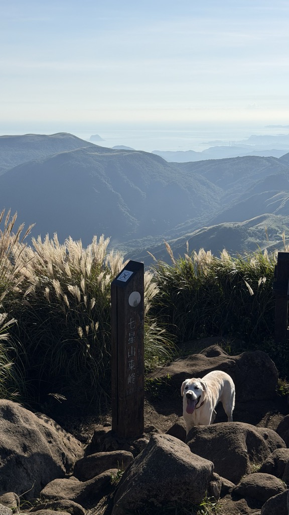 Photo №1 of Mt. Qixing East Peak