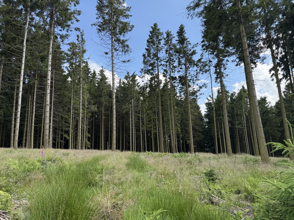 Photo №1 of Mühlenkopf