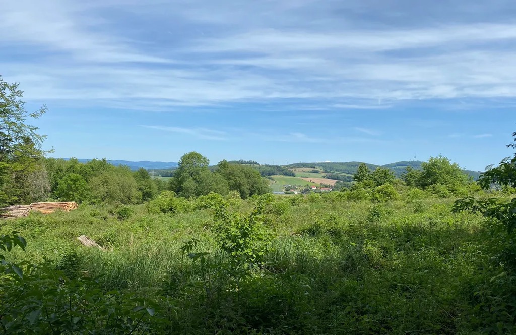 Photo №2 of Münsterbrocker Berg