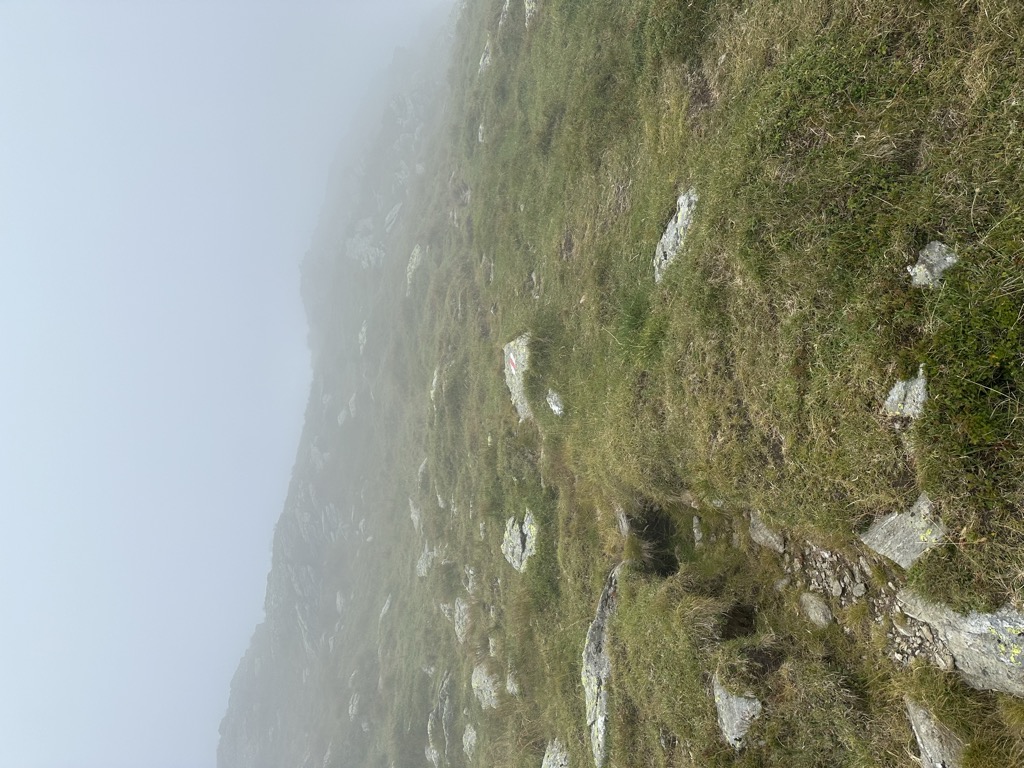Photo №3 of Musceaua Scării