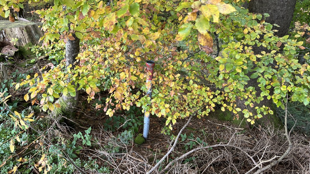 Photo №1 of Muttner Höhe